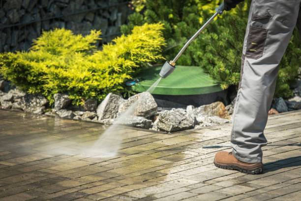 Best Roof Washing  in Blue Earth, MN